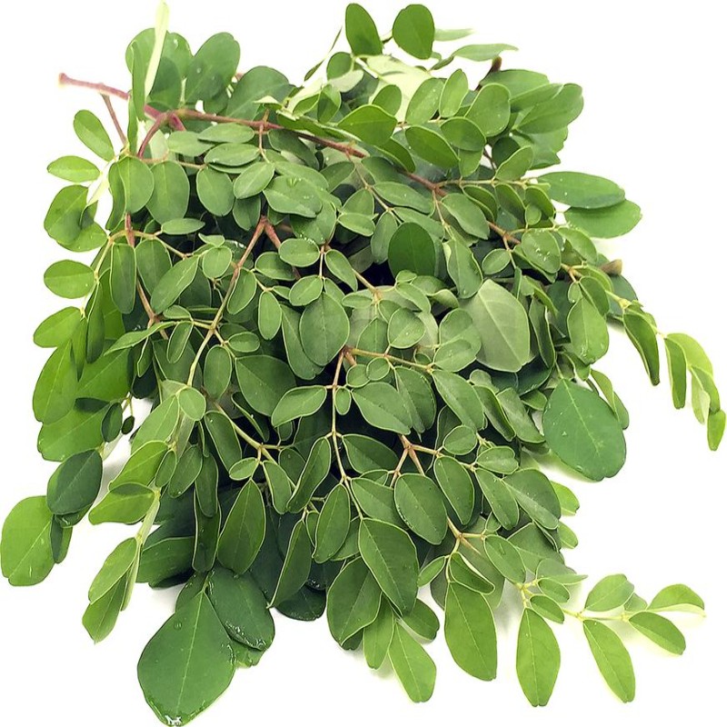 Moringa Leaves